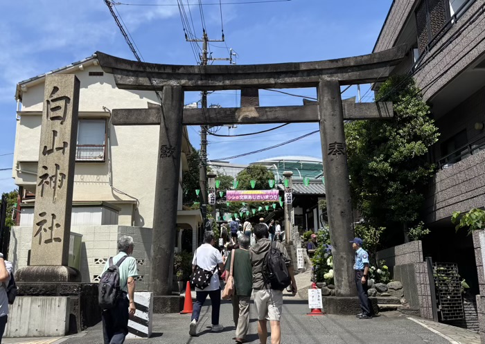 文京区　白山神社　あじさいまつり