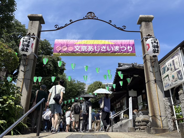 文京区　白山神社　あじさいまつり