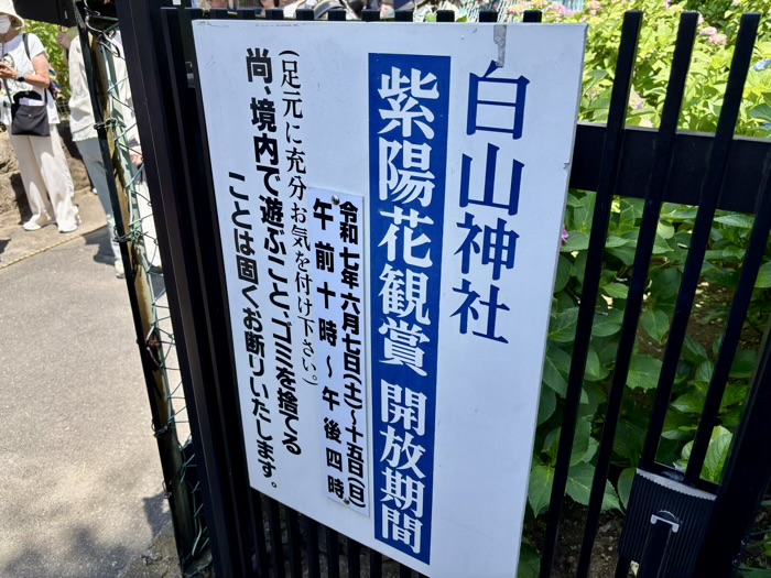 文京区　白山神社　あじさいまつり　富士塚