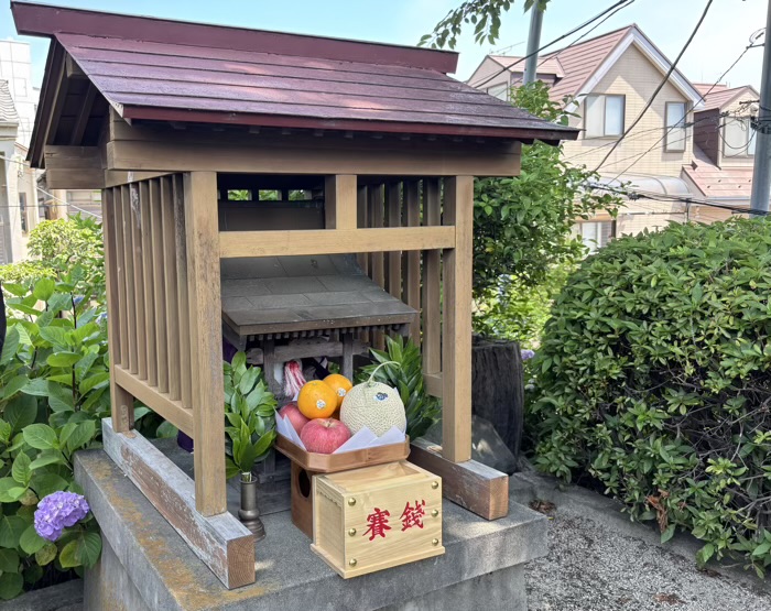 文京区　白山神社　あじさいまつり　富士塚　浅間神社