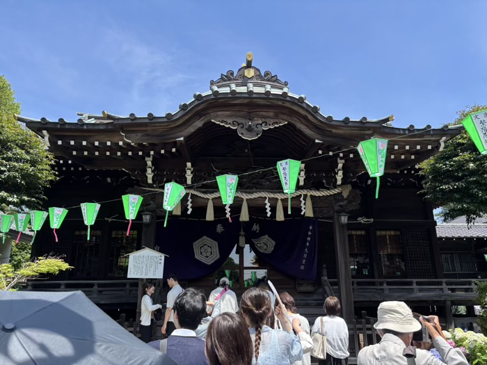 文京区　白山神社　あじさいまつり　社殿