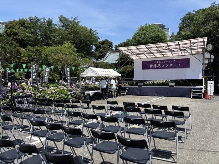 文京区　白山神社　あじさいまつり　紫陽花ステージ