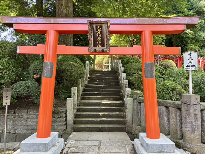 文京区 東京十社 根津神社 乙女稲荷神社の鳥居