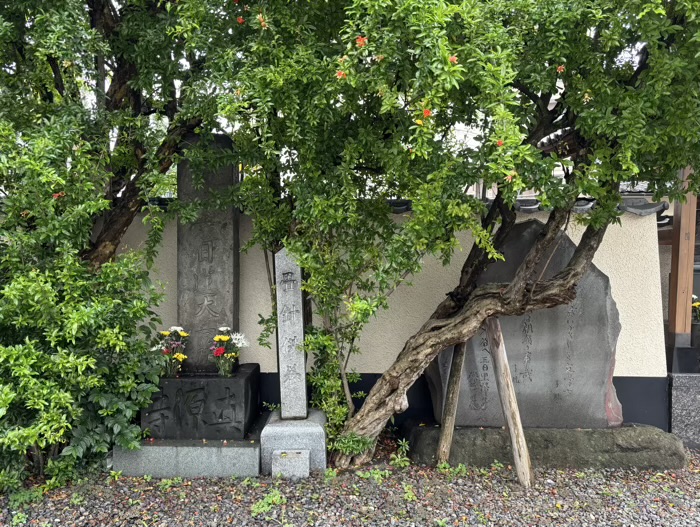 入谷　真源寺　境内