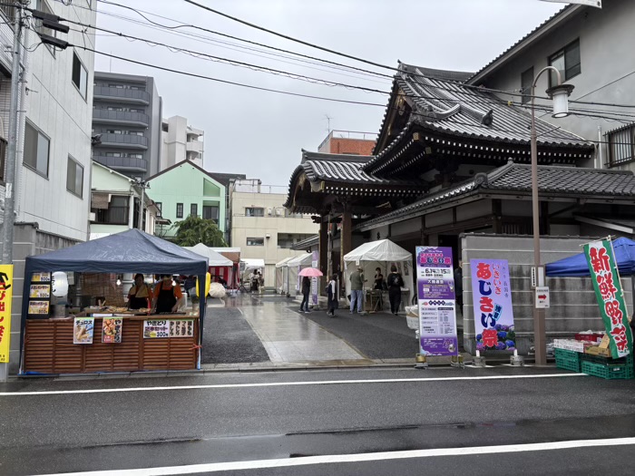 台東区　長國寺　いきいきあじさい祭
