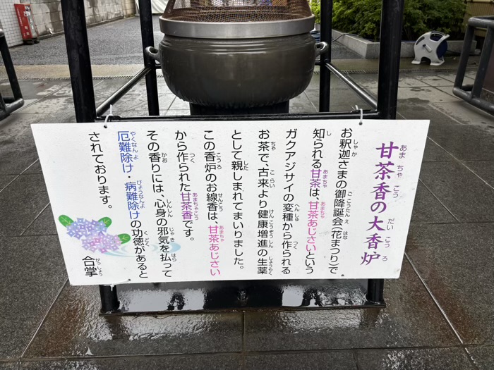台東区　長國寺　いきいきあじさい祭　甘茶香の大香炉