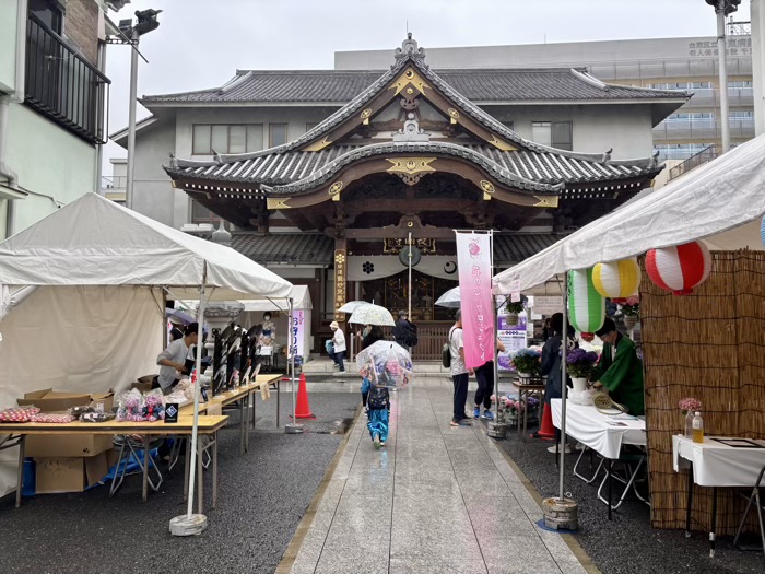 台東区　長國寺　いきいきあじさい祭