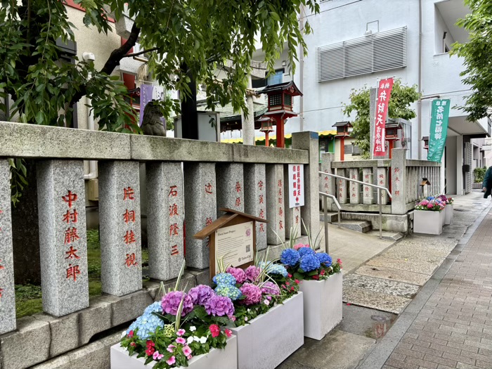 浅草　吉原神社　いきいきあじさい祭