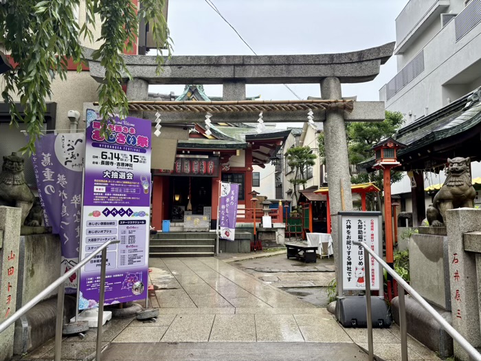 浅草　吉原神社　いきいきあじさい祭