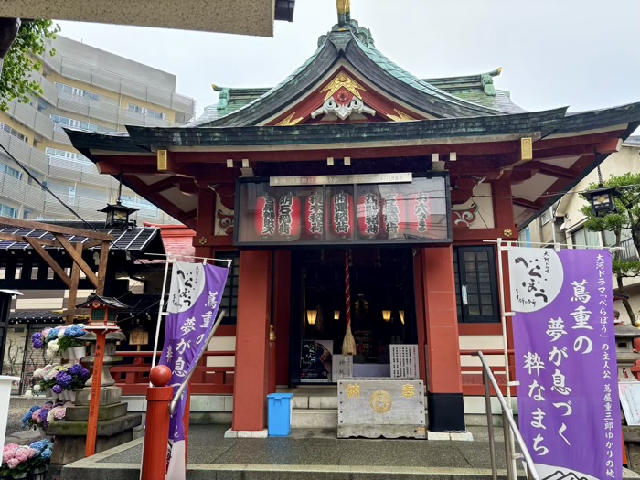 浅草　吉原神社　いきいきあじさい祭