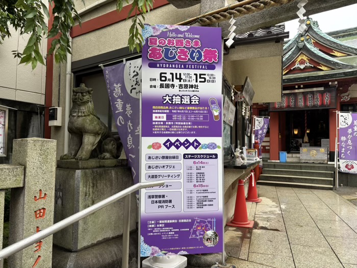 浅草　吉原神社　いきいきあじさい祭