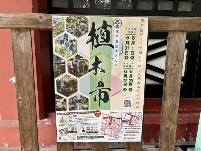 台東区　浅草富士浅間神社　植木市