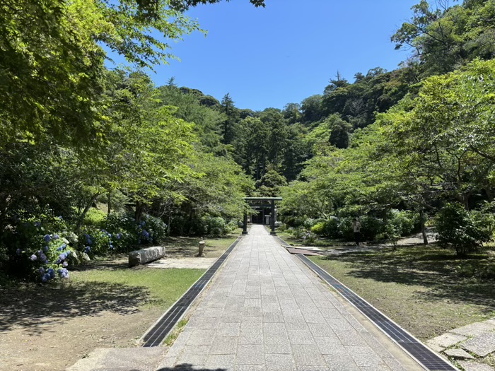 鎌倉　建長寺　あじさい　半僧坊