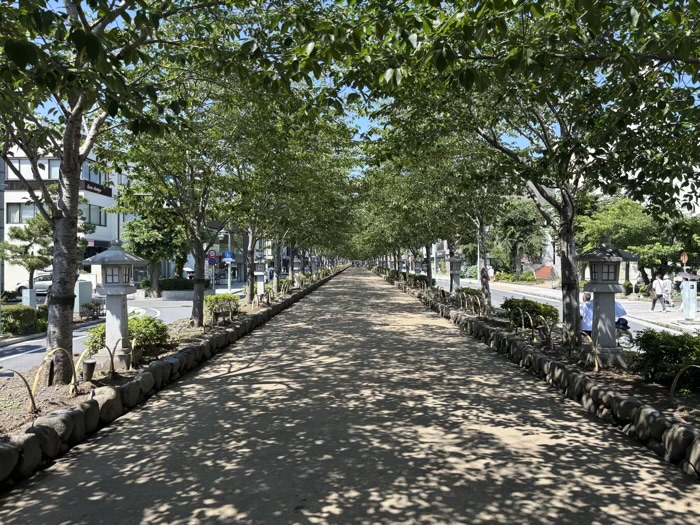 鎌倉　鶴岡八幡宮　参道