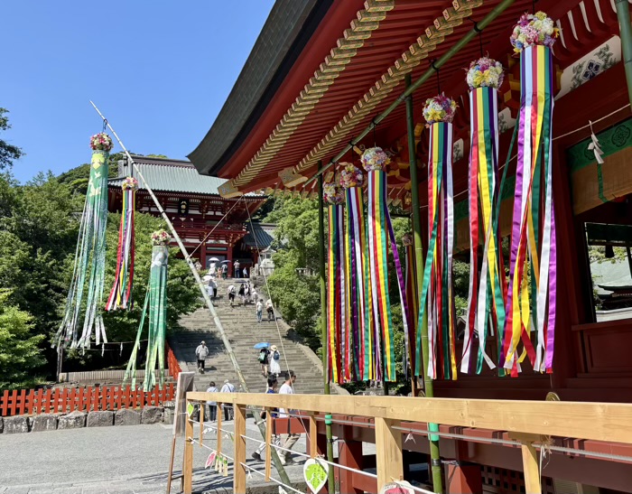 鎌倉　鶴岡八幡宮　七夕