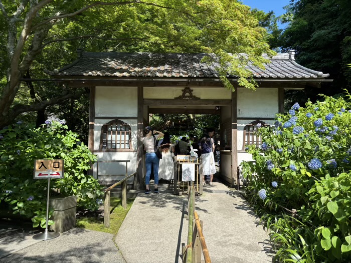 北鎌倉　明月院　拝観所