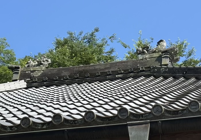 北鎌倉　明月院　本堂　飛天