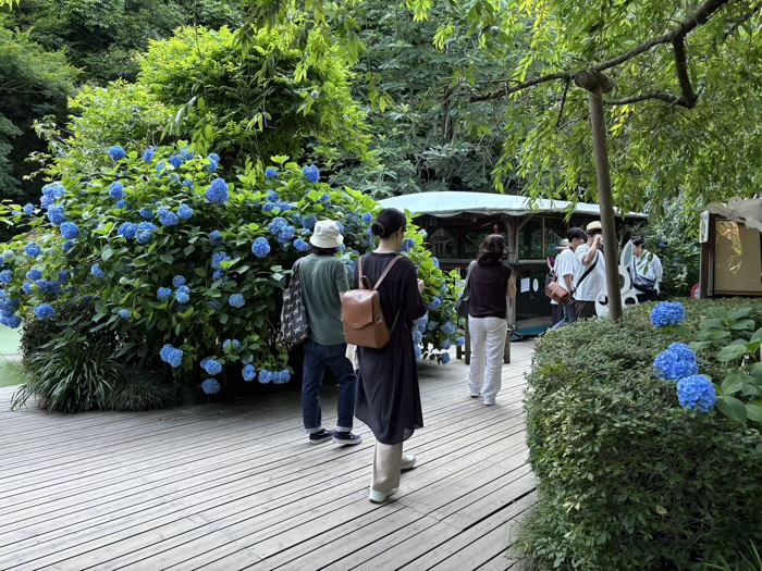 北鎌倉　明月院　紫陽花　宇宙ステーション