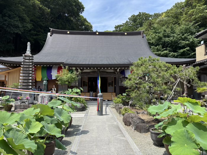 平塚　土屋銭洗い弁財天 妙圓寺　蓮