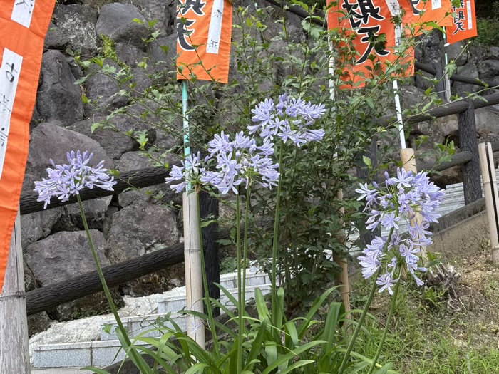 平塚　土屋銭洗い弁財天 妙圓寺