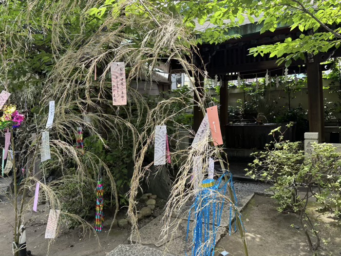 入谷　小野照崎神社　七夕飾り