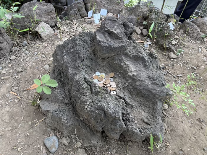 入谷　小野照崎神社　富士塚「下谷坂本富士」　お山開き