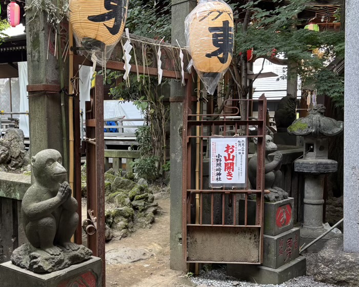 入谷　小野照崎神社　富士塚「下谷坂本富士」　お山開き