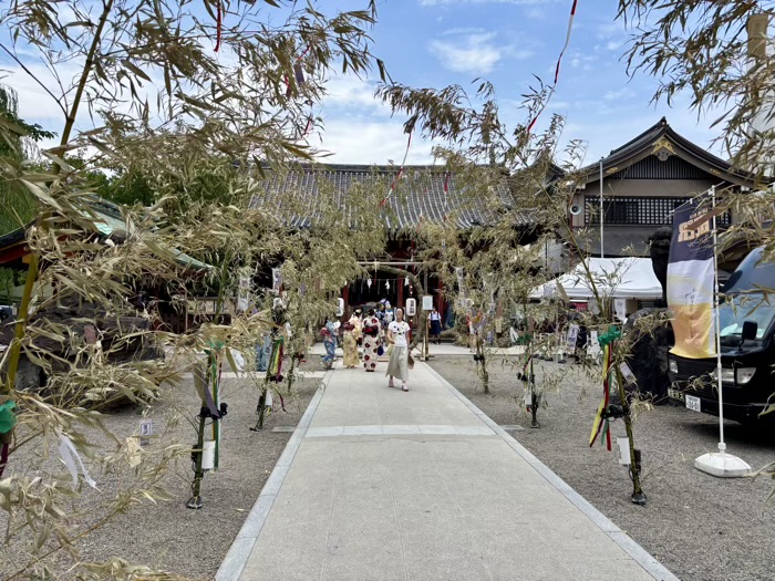 浅草神社　夏詣　竹参道