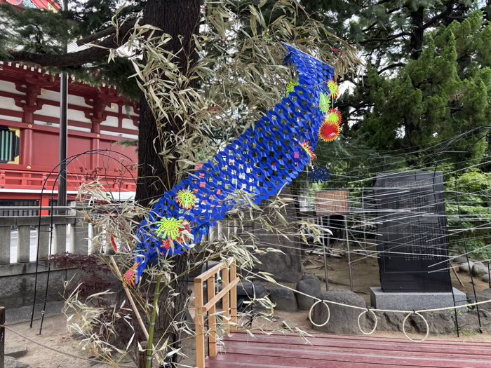 浅草神社　夏詣　七夕