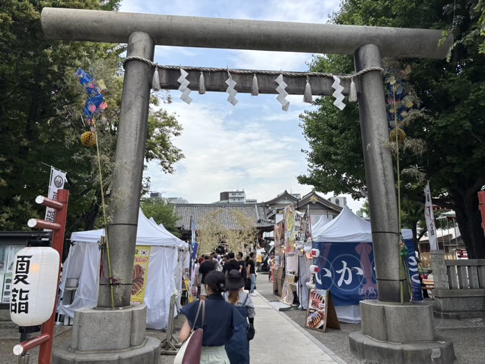 浅草神社　夏詣　鳥居