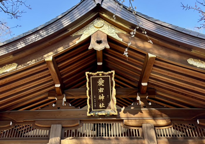港区　愛宕神社　社殿