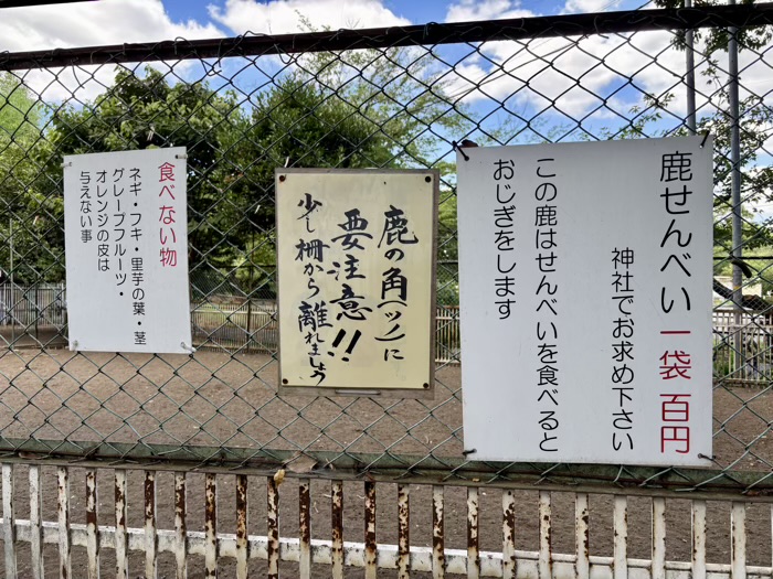 横浜　戸塚　相州春日神社　神鹿