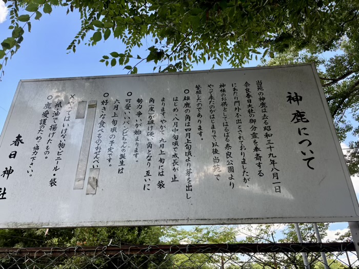 横浜　戸塚　相州春日神社　神鹿