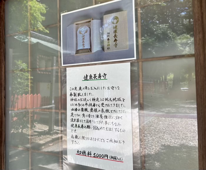 横浜　戸塚　相州春日神社　健康長寿守