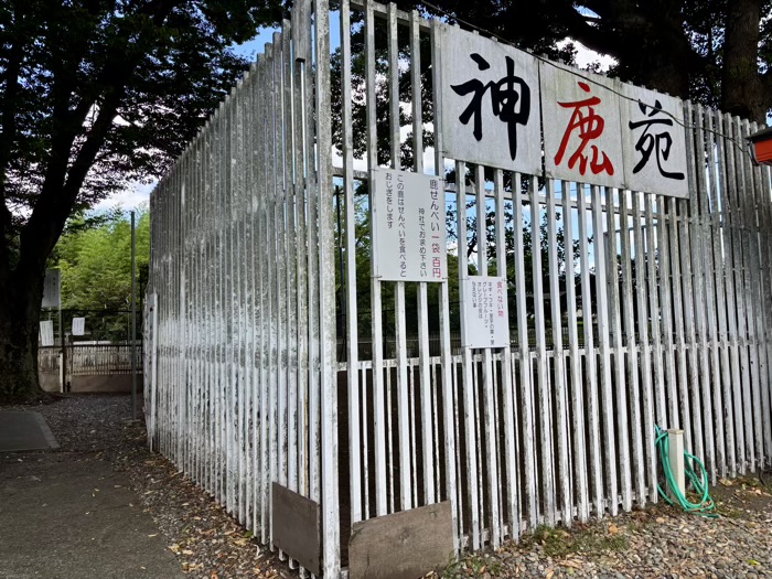 横浜　戸塚　相州春日神社　神鹿