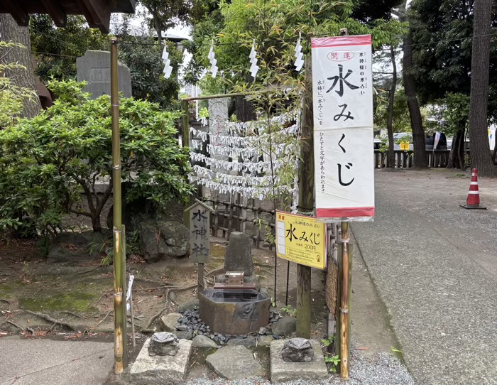 湘南　平塚三嶋神社　水みくじ