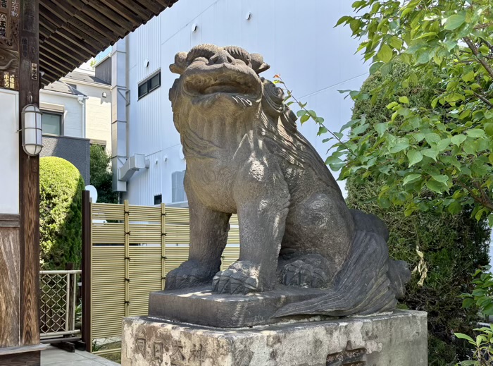 文京区　南谷寺（目赤不動尊）　不動堂