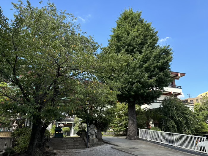 綱島　東照寺