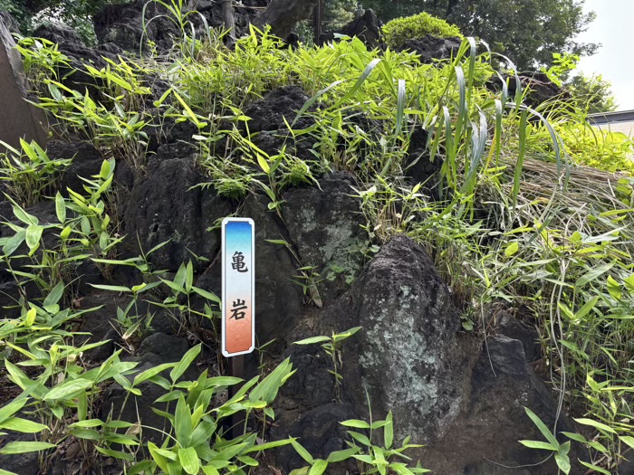 渋谷　鳩森八幡神社　富士塚　亀石