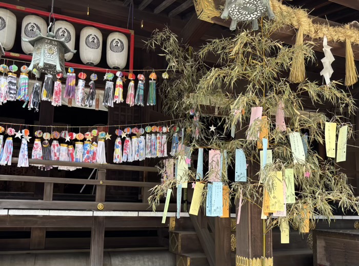 湘南　平塚八幡宮　七夕まつり　社殿