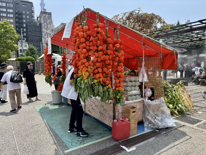 浅草寺　四万六千日ほおずき市
