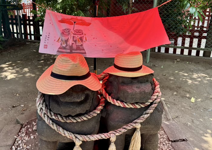 浅草神社　夫婦狛犬　夏詣バージョン