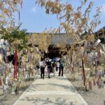 浅草神社　夏詣　竹参道