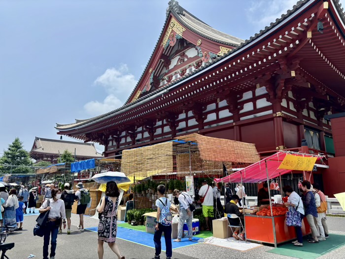 浅草寺　四万六千日ほおずき市