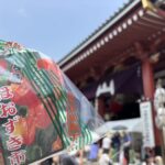 浅草寺　四万六千日ほおずき市