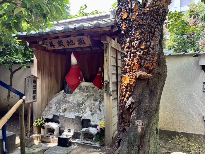 文京区　小石川　源覚寺（こんにゃく閻魔）　塩地蔵
