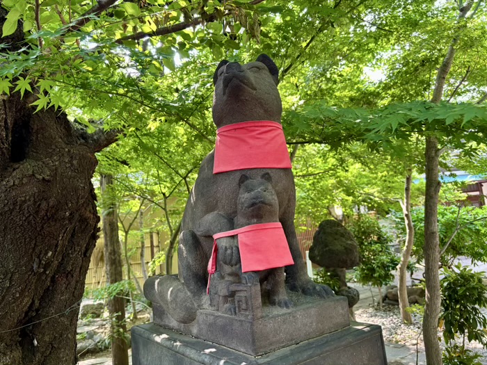 文京区　慈眼院 澤蔵司稲荷