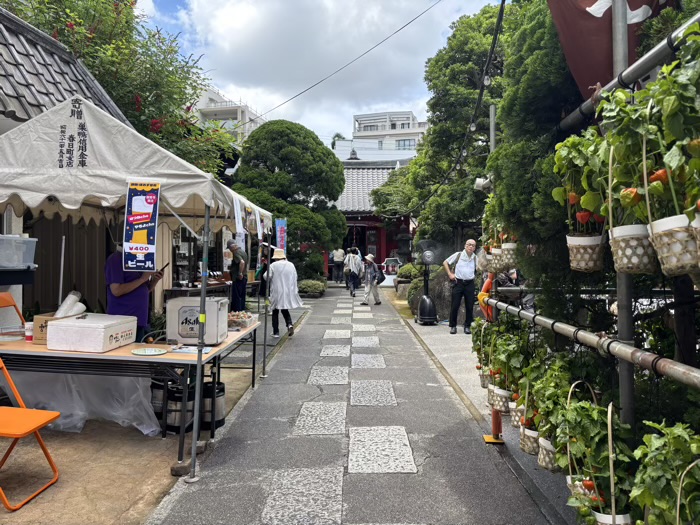 文京　源覚寺（こんにゃく閻魔）　ほおずき市