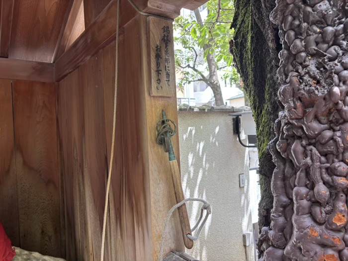 文京区　小石川　源覚寺（こんにゃく閻魔）　塩地蔵