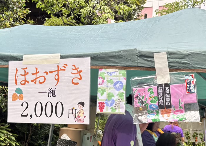 文京　源覚寺（こんにゃく閻魔）　ほおずき市